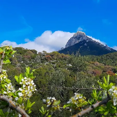 Idyllia 2 Appartamento