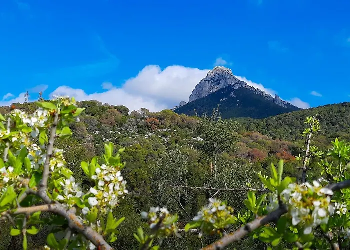 Idyllia 2 Appartamento